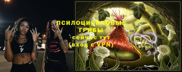 молекула духа Балахна