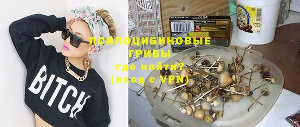 молекула духа Балахна